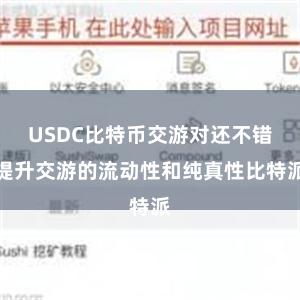USDC比特币交游对还不错提升交游的流动性和纯真性比特派